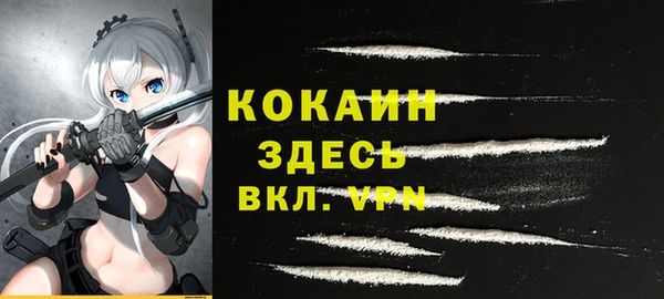 амф Вяземский