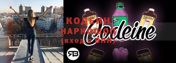 амф Вяземский