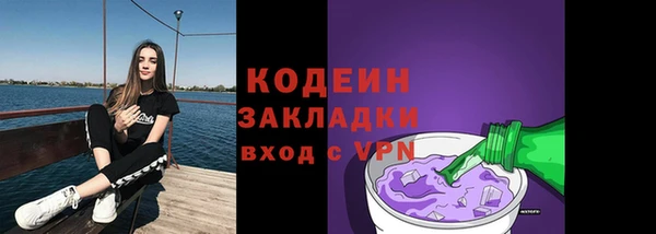 амф Вяземский