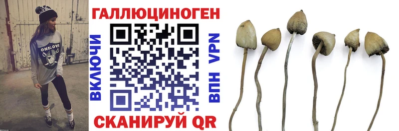 хочу   Серпухов  МЕГА ссылка  Псилоцибиновые грибы мицелий 